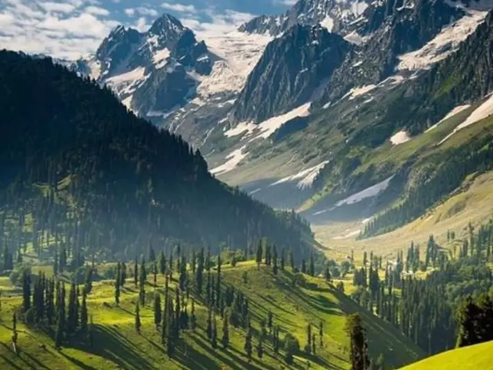 Explore the Beauty of Srinagar A Honeymoon Special